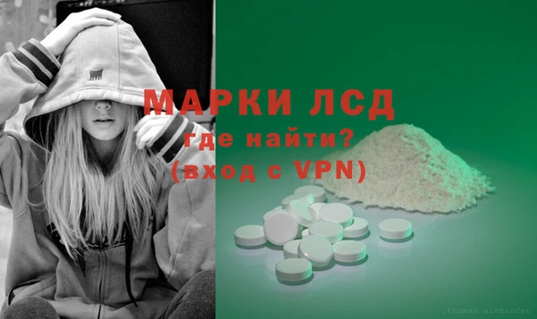 шишки Карпинск