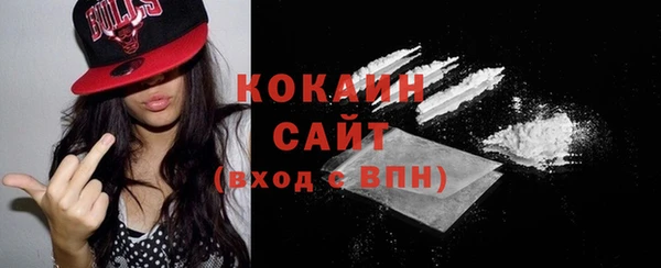 шишки Карпинск