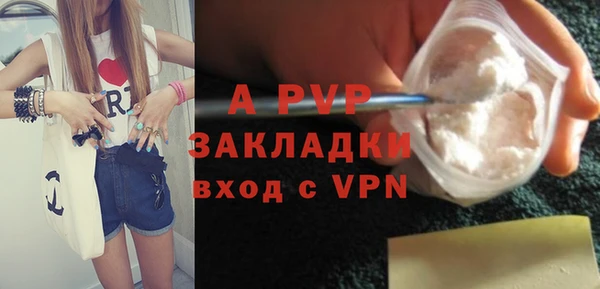 шишки Карпинск