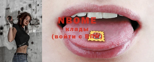 шишки Карпинск