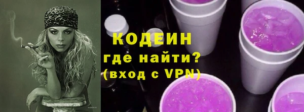 шишки Карпинск