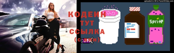 шишки Карпинск