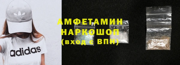 шишки Карпинск