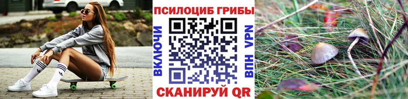 Галлюциногенные грибы Psilocybe  Купить закладки  Балашов 